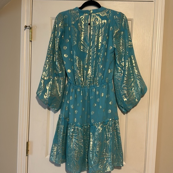 Lily Pulitzer Dress - Picture 4 of 4